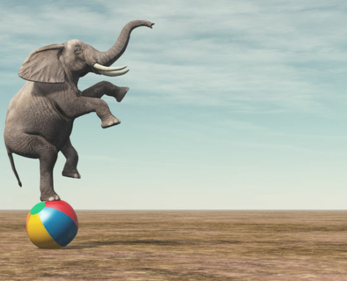 Elephant balancing on a beach ball.
